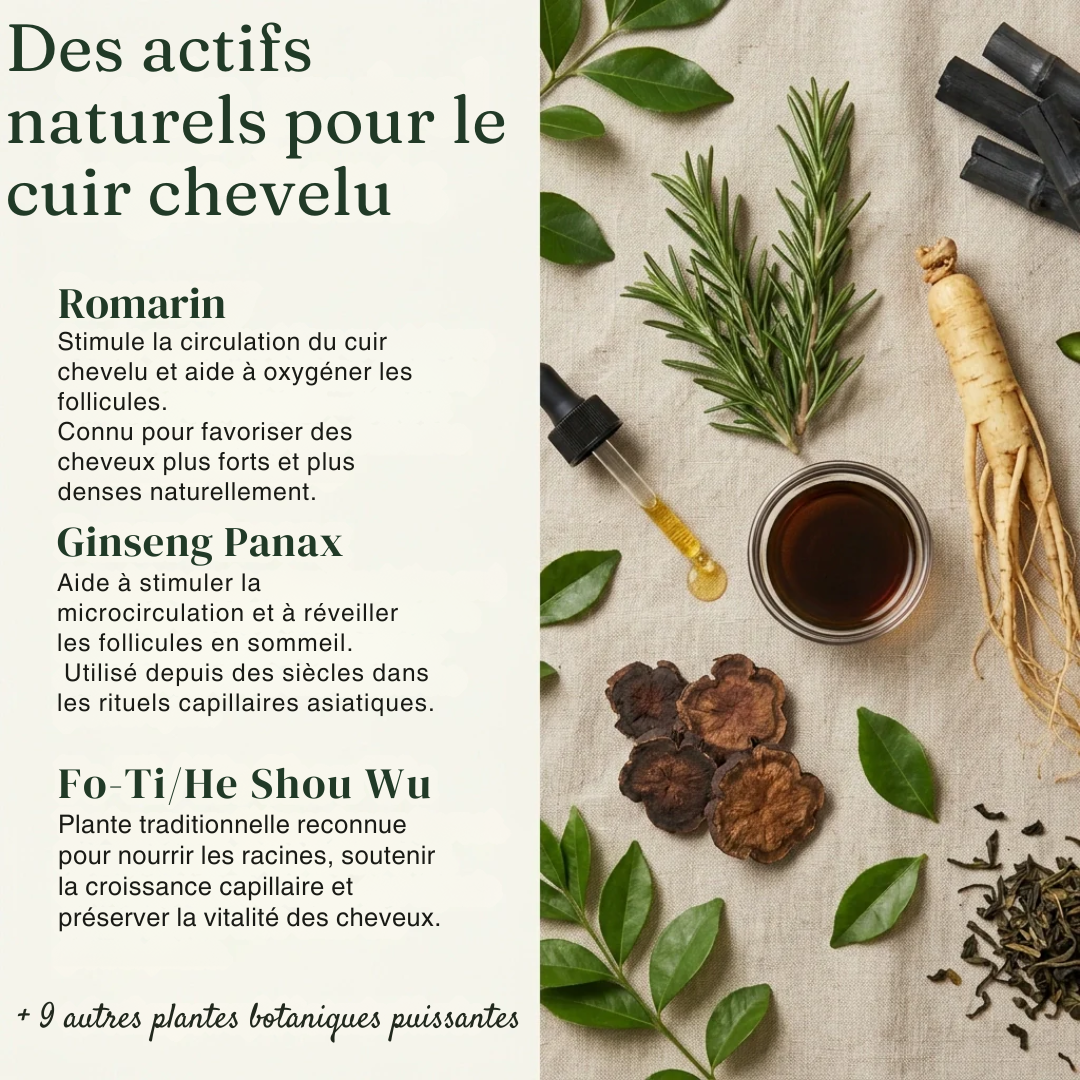Savon coréen pour revitalisation du cuir chevelu